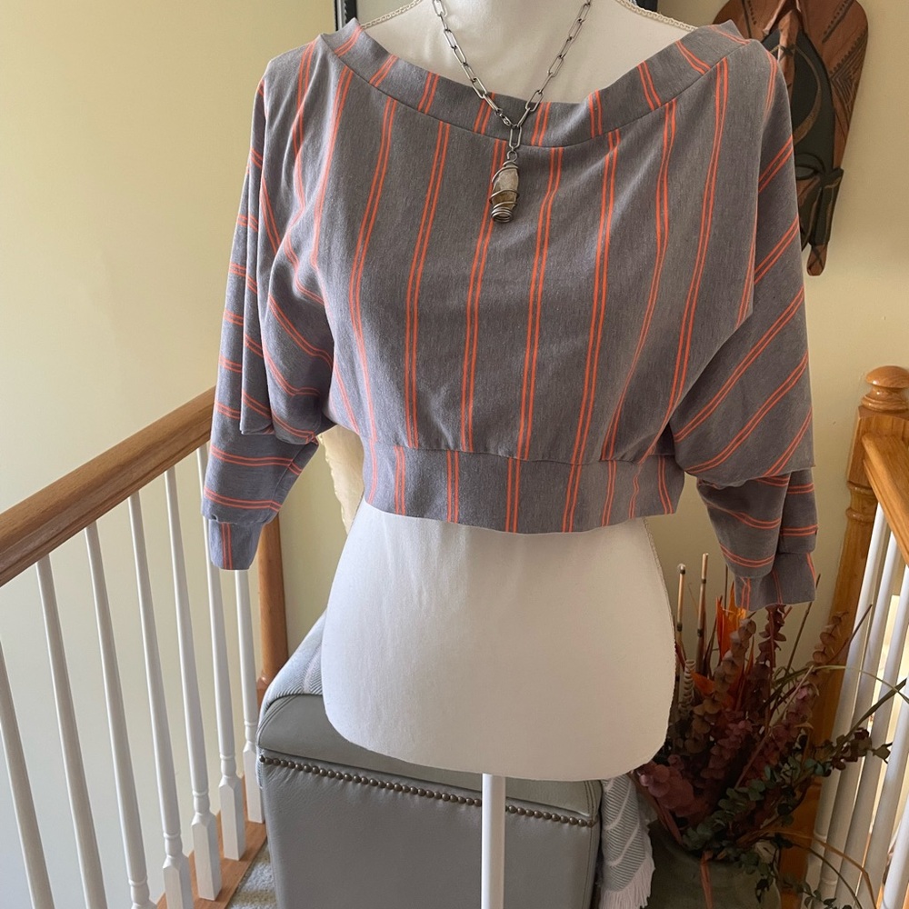 Onion-Striped Gray and Orange Cropped Top NWOT